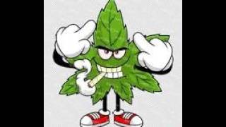 Stoner Olympics of 2026