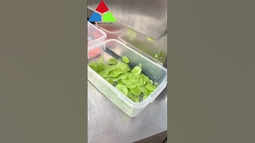 Máy thái rau củ quả đa năng có băng tải CHYD-20 tự động