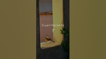 تلاوة تريح القلب القارئ#هيثم_الدخين  #حالات_واتساب_دينية#راحة_نفسية #قران_كريم #سورة_الفاتحة
