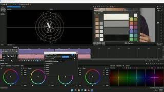 Vegas Pro 20 Color Grading