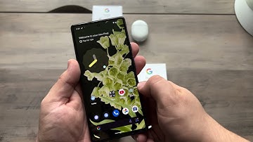 Pixel 6 Unboxing, Setup, Camera Test, Fingerprint Scanner, Cases, & Initial Impressions!