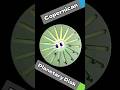 Ball track fidget spinner,cyclic visual relaxation #balltrack #turntable #relaxation