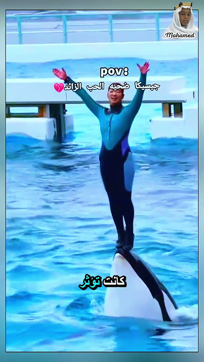 مأساة جيسيكا: مدربة حوت الأوركا التي قُتلت على يد حيوانها الذي أحبته!