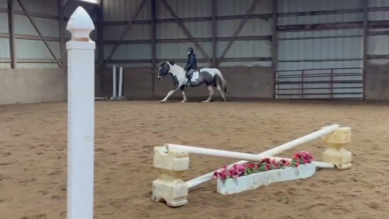 Mezcal - www.picturesquefarm.com ￼