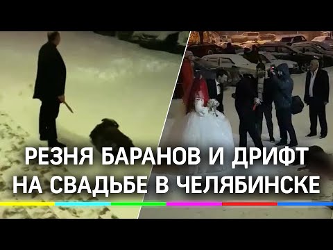 Резня баранов и дрифт на свадьбе в Челябинске: участников заставили извиняться на камеру