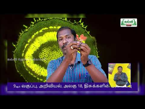 9th Std KALVI TV Video - அறிவியல் | திசுக்களின் அமைப்பு | அலகு 18 