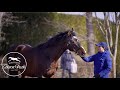 社台スタリオンパレード2021リハーサル〜本番の様子〜 Shadai Stallion Parade 2021: from rehearsal to real time!