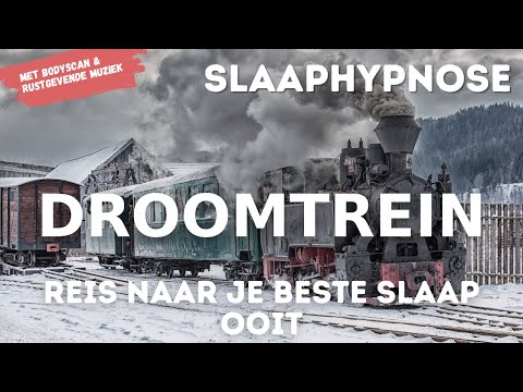 Video: Slaap vlieë ooit?