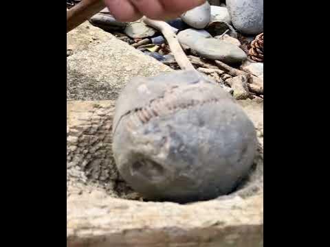 Hammer & Chisel Reveals Crisp Ammonite Fossil! 😍🤯 #fossil #treasure