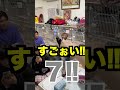 【ツムツム】ピタリ賞1000円!!家族みんなで勝負してみた!!対決の行方は?? #shorts #りゅうちゃんとあそぼ