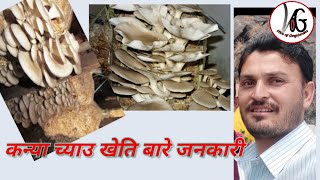 च्याउ खेति गर्ने तरिका ।।। How to do mushroom farming in nepal