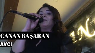 Canan Başaran - Avcı (Canlı Performans) Resimi