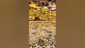 سورة الرعد كاملة رقم 13  في ترتيب القرآن الكريم /فهرس سور القرآن الكريم 