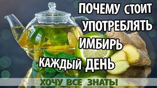 ПОЧЕМУ СТОИТ УПОТРЕБЛЯТЬ ИМБИРЬ КАЖДЫЙ ДЕНЬ