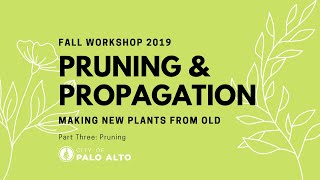Pruning & Propagation Fall 2019 Workshop: Pruning