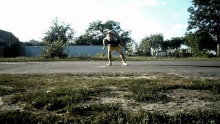 BYFREE Beginners Competiton qualification 2012 JFF