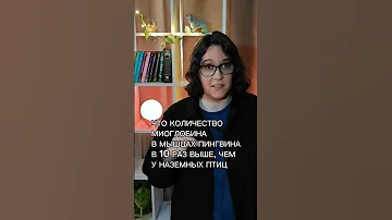 Зачем пингвинам столько миоглобина? Полезно знать для ЕГЭ по био! shorts шортс