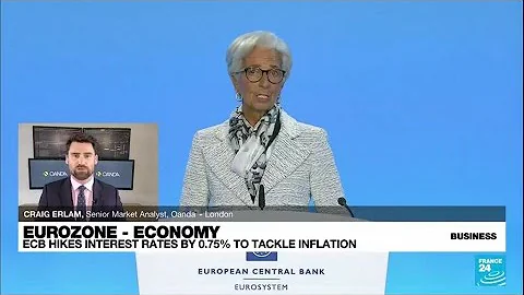 ECB hikes interest rates by 0.75% to tackle inflation • FRANCE 24 English