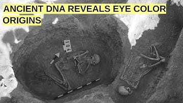 Ancient DNA Reveals the Hidden Links Between Eye Color & Ancestry
