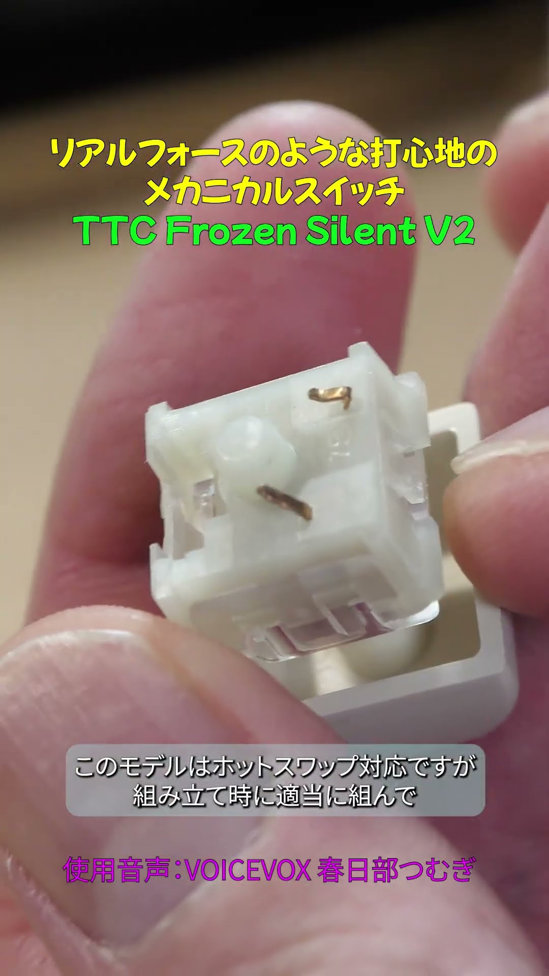TTC frozen silent V2 90個 キーボード キースイッチ 自作 Amazon | TTC Frozen Silent V2スイッチ、透明RGBプレ潤滑
