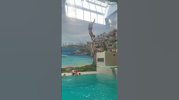 Dumb ways to die! #dumwaystodie