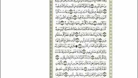 مؤثر سلمان العتيبي سورة ق كاملة