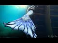 Mermaid swimming underwater lake michigan mermaid swims around a wooden pier mermaidphantom