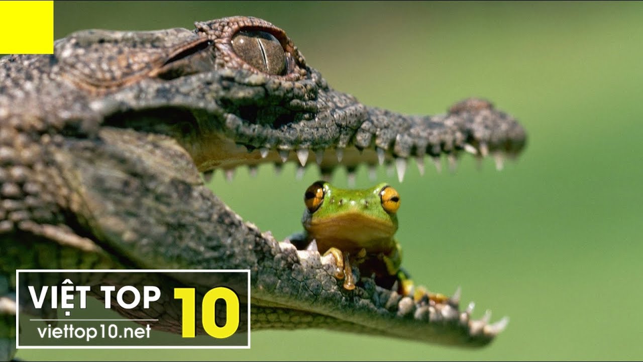 top 10 siêu xe chạy nhanh nhất thế giới Top 15 Bức Ảnh Có Thật Mà Ngỡ Như Photoshop