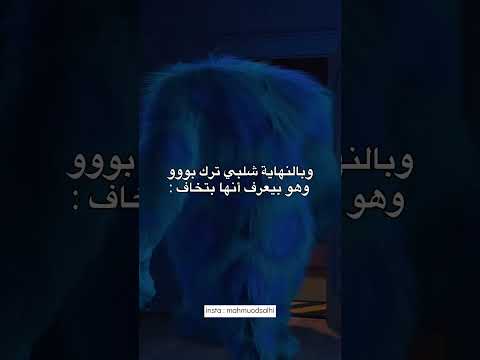 شلبي وبوو ستوريات انستا حالات واتساب        حب
