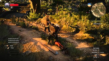 Witcher 3 AMD R7 360 Gameplay FPS Test