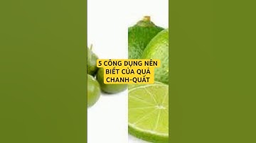 5 CÔNG DỤNG NÊN BIẾT CỦA QUẢ CHANH-QUẤT