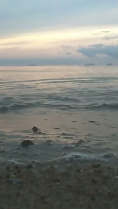 let somebody , #storywa #selenagomez  , #coldplay , #video #music  , #shorts , #short
