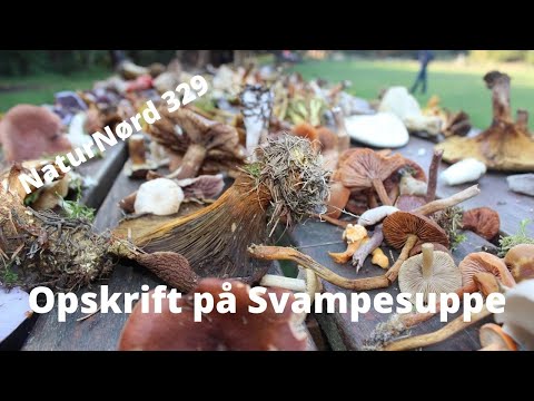 Video: Opskrift På Svampesvampesvampesuppe Med Pasta