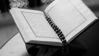 Surah Al-Hujurat (the Dwellings) By Abdulbasit Abdulsamad