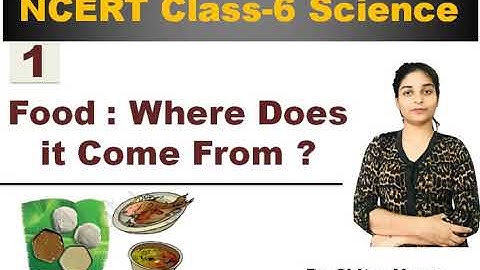 NCERT Class 6 | Science | Chapter-1 Food :Where Does it Come From |- Dr. Chitra Varun