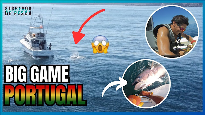 Aventura Incrível: Captura de Grandes Atuns ! Catching Giant Tunas in Big Game Fishing!