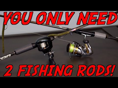 EVERY Fisherman NEEDS These 2 Fishing Rods! 