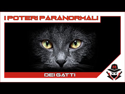 Ep. 91 I poteri paranormali : DEI GATTI