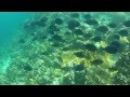 Guna Yala / San Blas, Panama