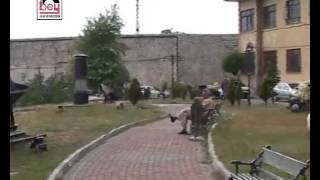 Kavur Balıkları - Grup Bağdaş Resimi