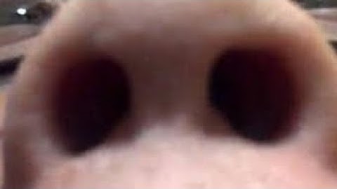 This is Halloween - Halloween WOF MAP part 10 [COMPLETE]