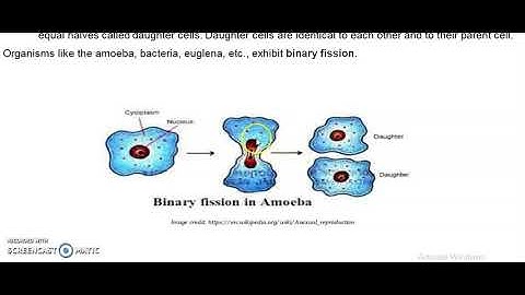 SCIENCE 7 SLHT|| MODULE 4:REPRODUCTION PART 1