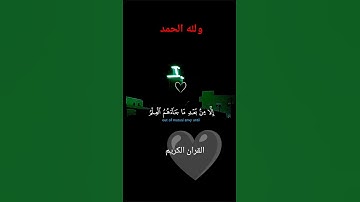 القران الكريم راحة نفسية #رب #اكسبلور #الله #قطط #دويتو #kitten #explore #cat #تيك_توك #سبحانالله