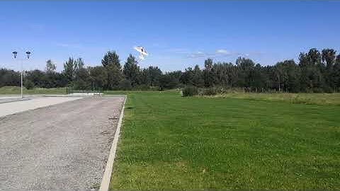 Multiplex Acromaster crash