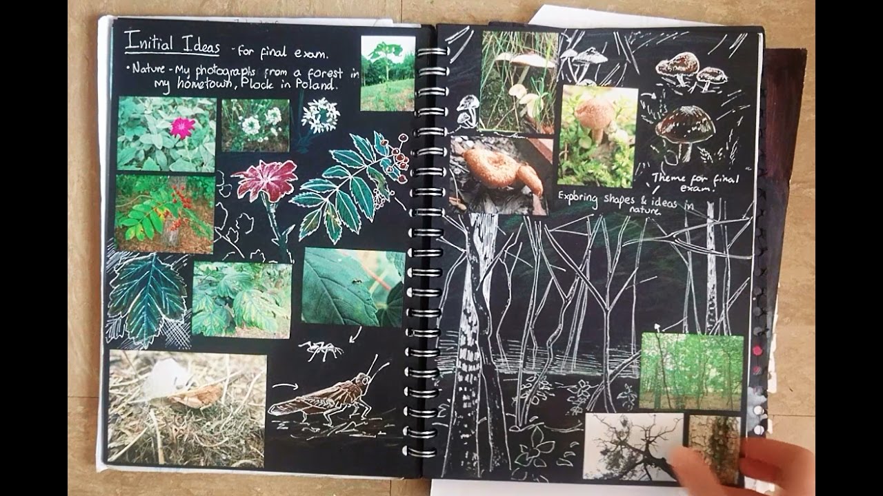 A Gcse Art Sketchbooks Youtube