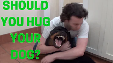 Is it good to hug your dog?
