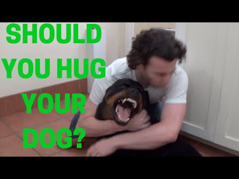 ვიდეო: რატომ არ უყვარს ჩემს ძაღლს ჩახუტება?