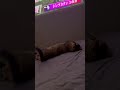 まったりみぃちゃん😸