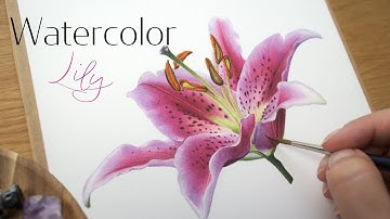 How to paint a Stargazer Lily flower 🌺 watercolor painting tutorial