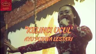 KELINCI UCUL || AYU PURWA LESTARI || WARGO LARAS || KI SENO NUGROHO